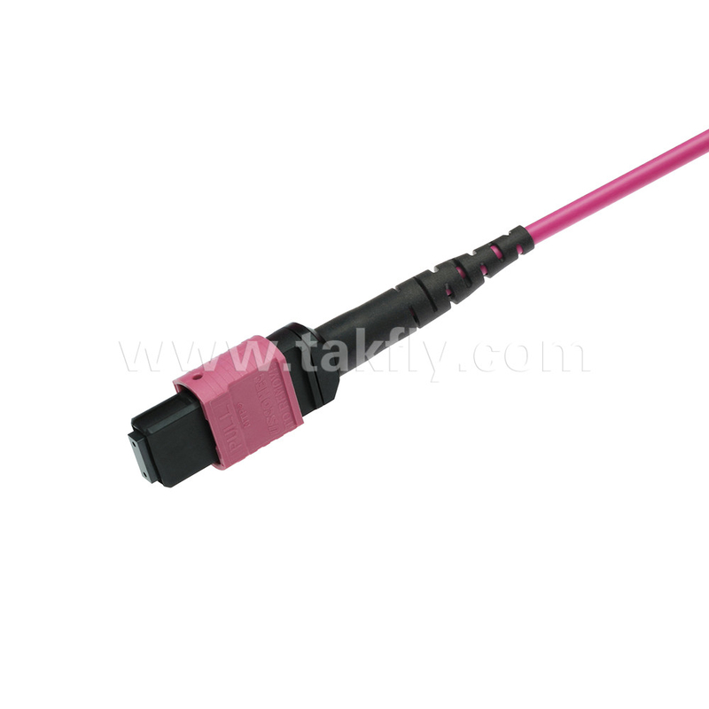 Elite Multimodo OM4 50/125 Pleno OFNP Tipo B MPO Cordón de parche de 3.0 mm Cable 10m 33ft MTP-12 PC Femenino a MTP-12 PC Femenino