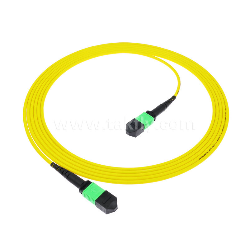 8F 12F 16F 24F MPO MTP Macho Hembra SM OS2 G652D G657A1 G657A2 Latiguillo de Fibra Óptica / Cable de Conexión de Fibra Óptica / Cable de Desconexión Óptica / Cable Troncal de Fibra Óptica para Centros de Datos de Alta Densidad