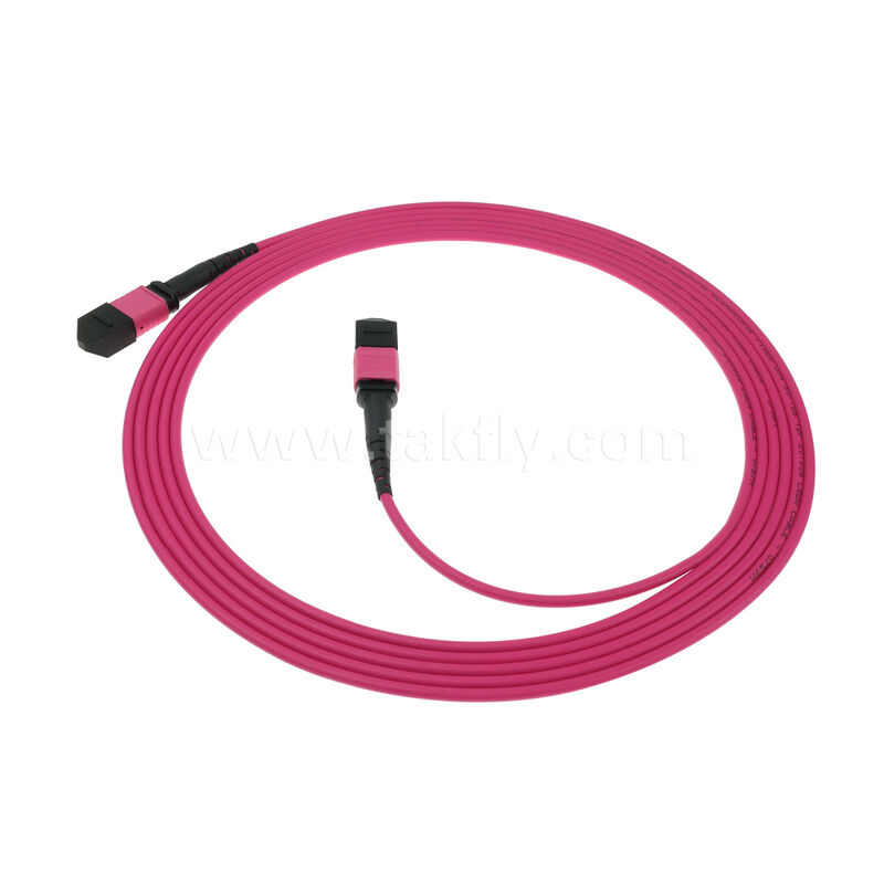 MPO MTP Hombre Mujer 8F 12F 16F 24F MM Multimodo OM4 Fibra óptica Patchcord / Cable de parche de fibra óptica / Cable de ruptura óptica / Cable de tronco de fibra óptica con chaqueta exterior de PVC LSZH OFNR OFNP