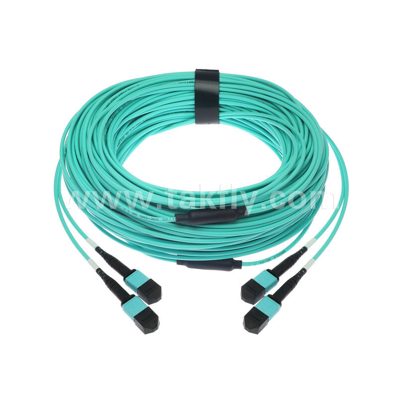 OM3 OM4 Multimodo 24 fibras 2x12F MPO MTP- 2x12F MPO MTP Hombre Mujer Fibra Óptica Patchcord / Fibra Óptica Patch Cable / Fibra Óptica Breakout Cable / Fibra Óptica Trunk Cable / Fibra Óptica Fanout Cable