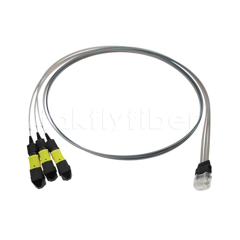 3x12F MTP - 36CH Fiber Array FA Assembly con alta tasa de transmisión, bajo consumo y alta estabilidad y fiabilidad