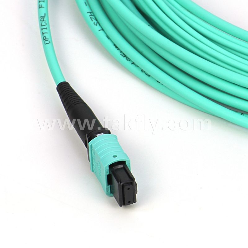 Cable de fibra óptica de múltiples modos 12/24 núcleos Mpo Mtp Om3 para aplicaciones en centros de datos