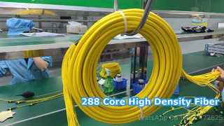 Cable de conexión MPO/MTP 288F