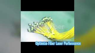 Cable de conexión 288F MPO MTP
