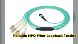 MPO跳线